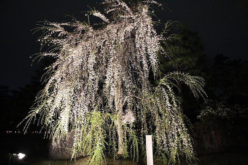 DSC03185.JPG DSC03185.JPG