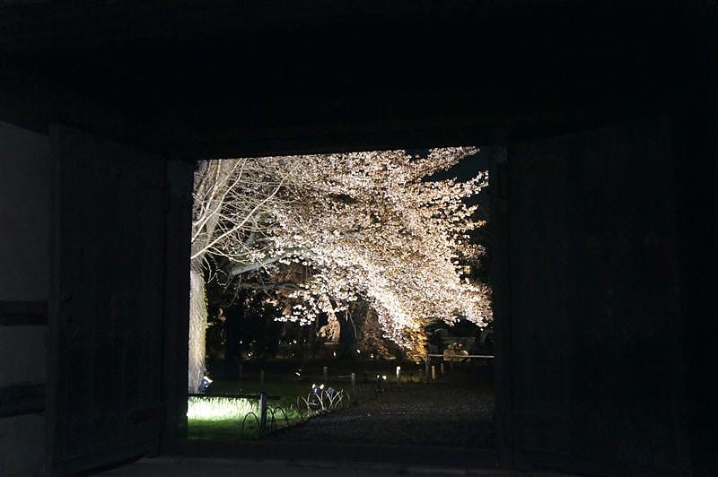 DSC03210.JPG DSC03210.JPG