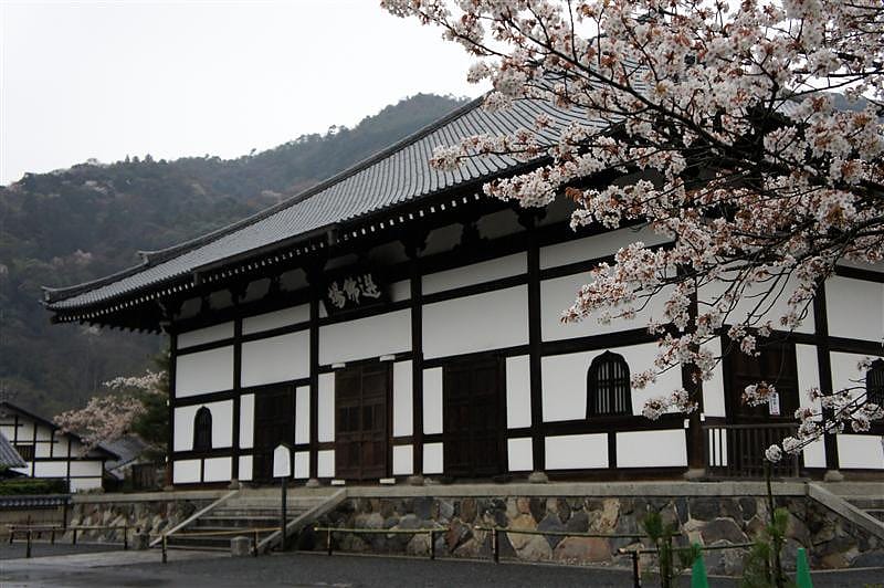 DSC03124.JPG DSC03124.JPG