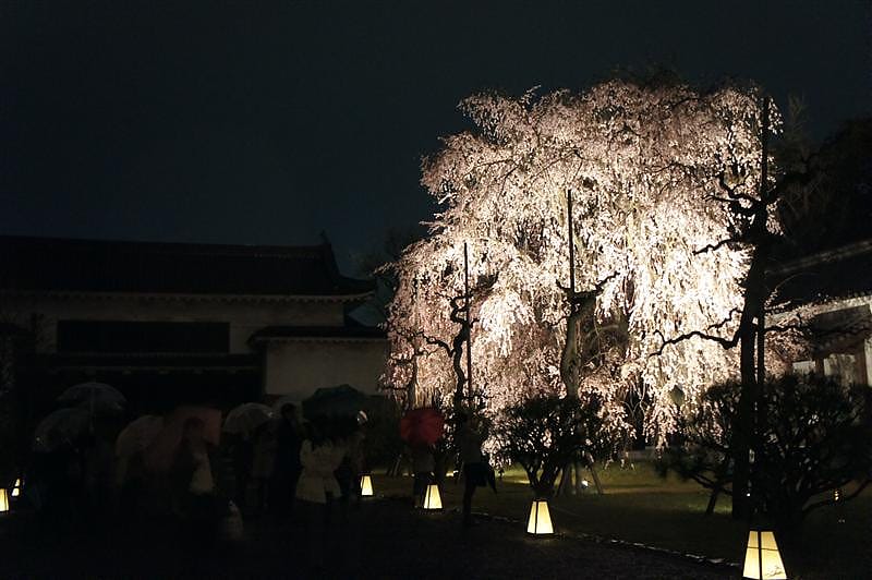 DSC03196.JPG DSC03196.JPG