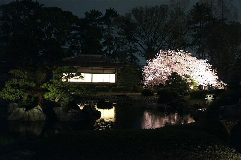 DSC03168.JPG DSC03168.JPG