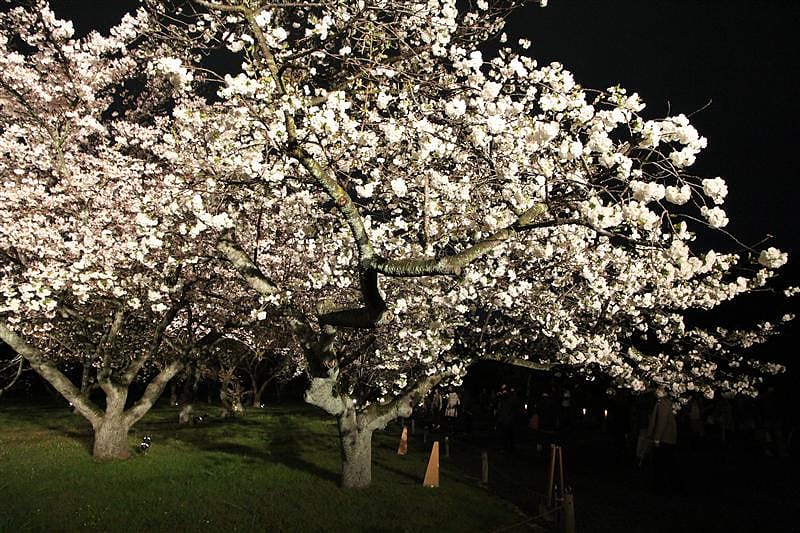 DSC03159.JPG DSC03159.JPG