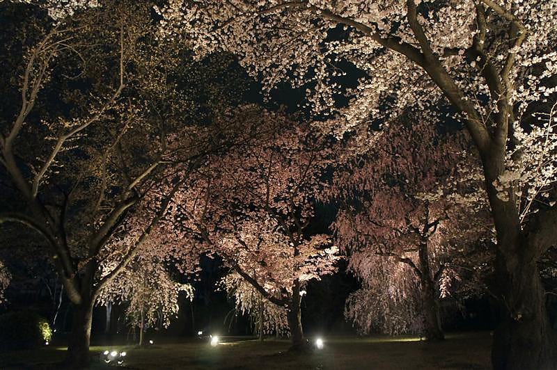 DSC03189.JPG DSC03189.JPG