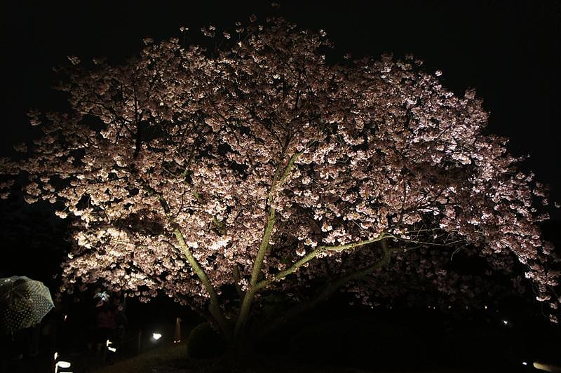 DSC03172.JPG DSC03172.JPG