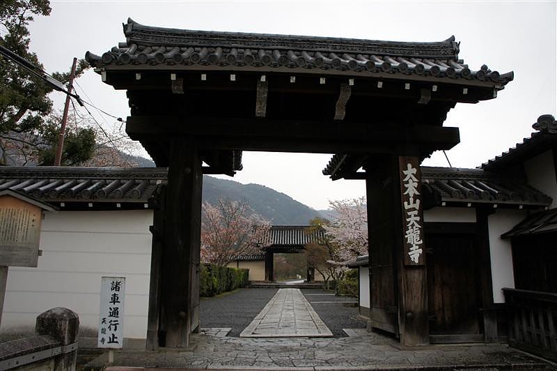 DSC03119.JPG DSC03119.JPG