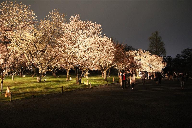 DSC03161.JPG DSC03161.JPG