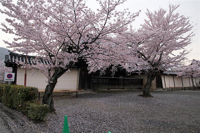 DSC03133.JPG DSC03133.JPG