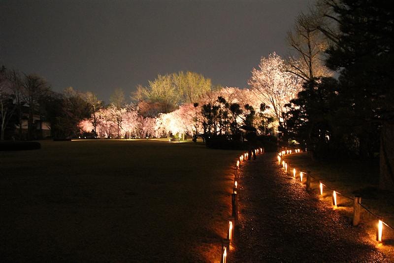 DSC03184.JPG DSC03184.JPG