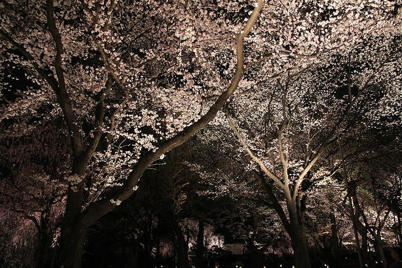 DSC03190.JPG DSC03190.JPG