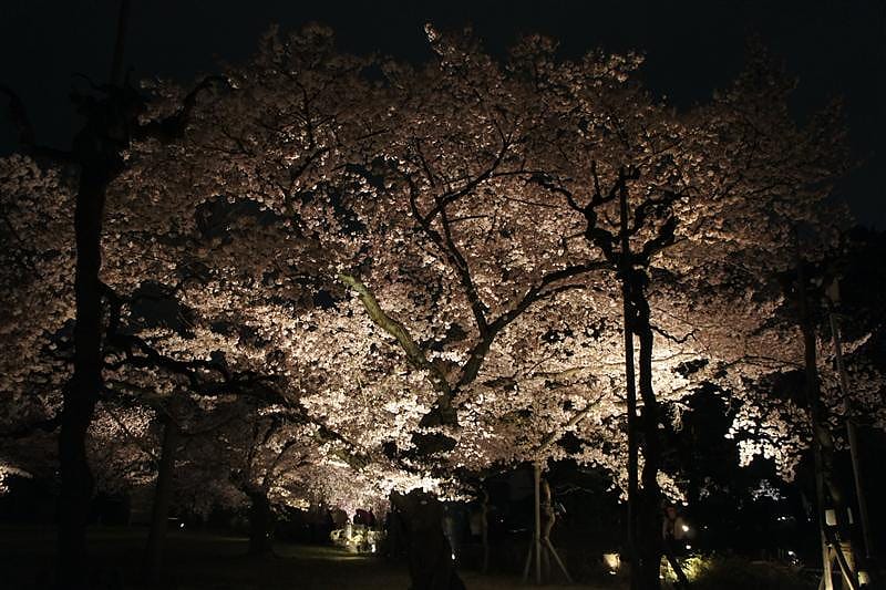 DSC03206.JPG DSC03206.JPG