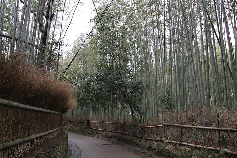 DSC03116(4).JPG DSC03116(4).JPG