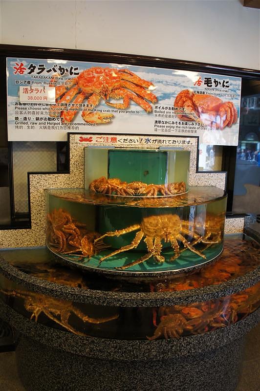 DSC03751.JPG DSC03751.JPG