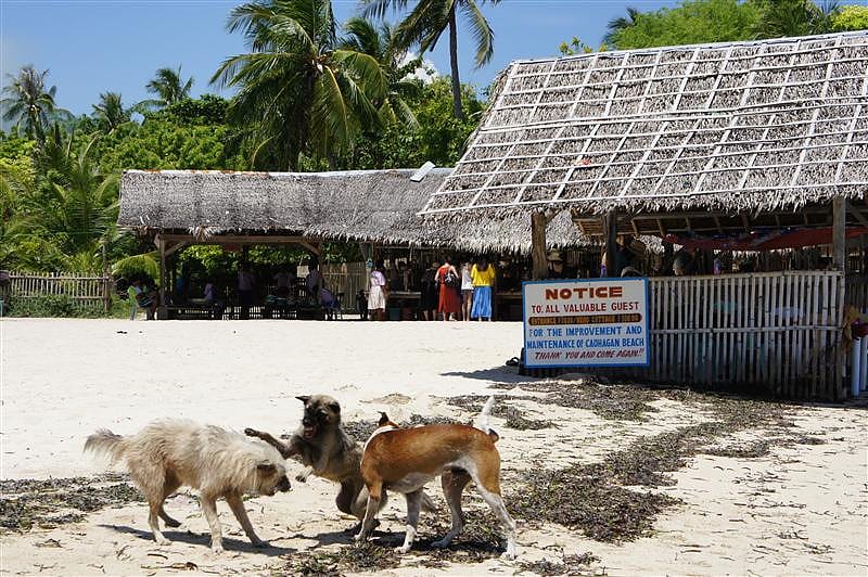 DSC05510.JPG DSC05510.JPG