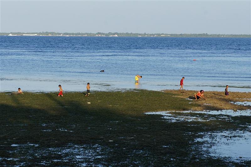 DSC05726.JPG DSC05726.JPG