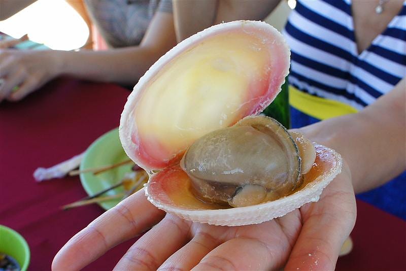 DSC05542.JPG DSC05542.JPG