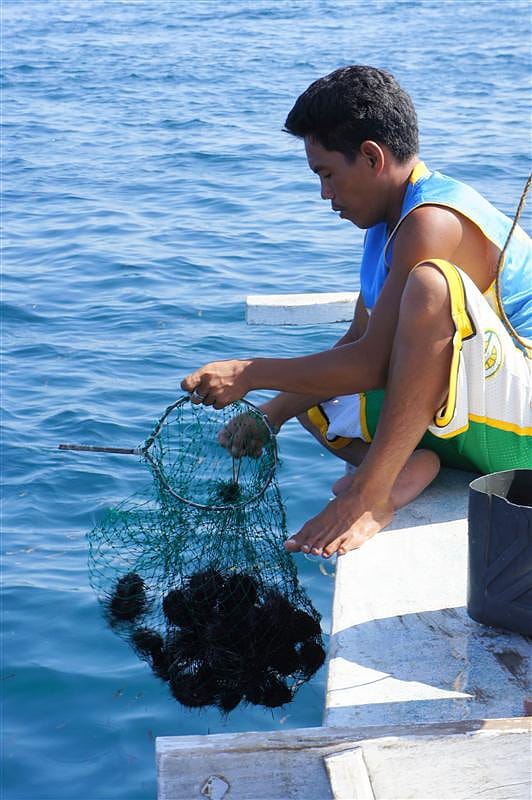 DSC05683.JPG DSC05683.JPG