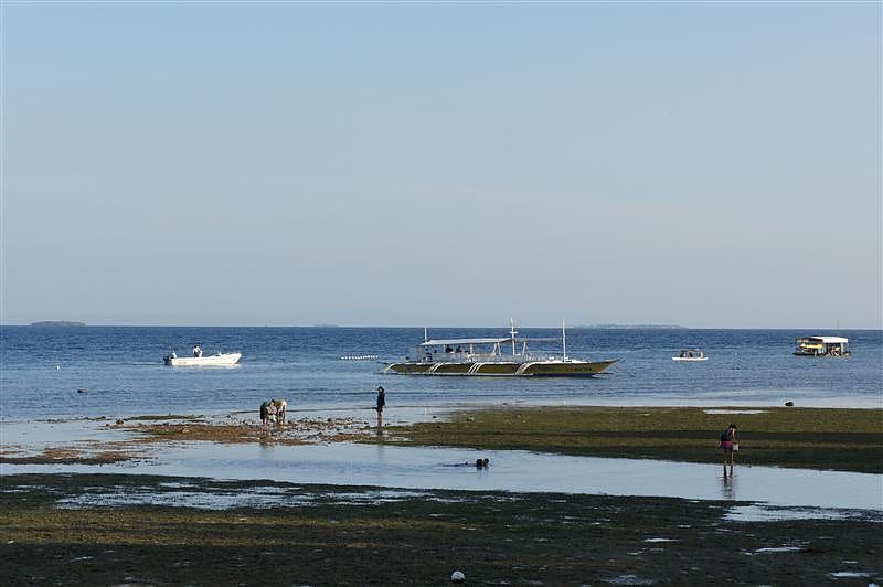 DSC05725.JPG DSC05725.JPG