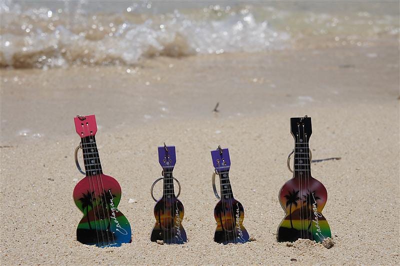 DSC05494.JPG DSC05494.JPG