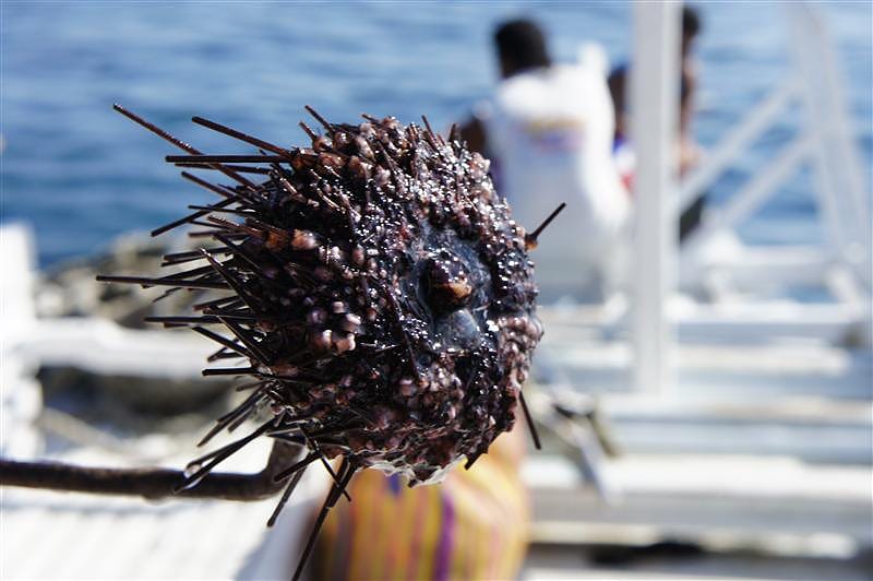 DSC05687.JPG DSC05687.JPG