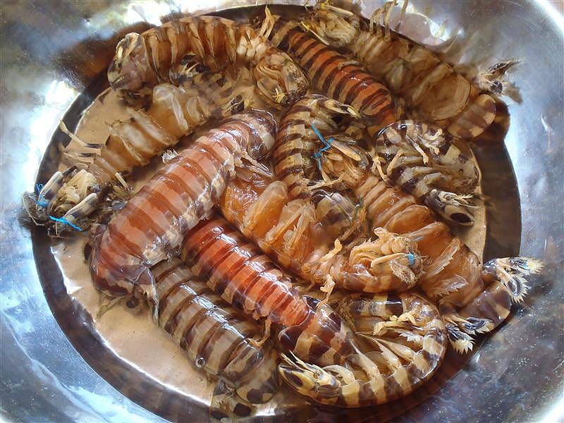 P6190427.JPG P6190427.JPG