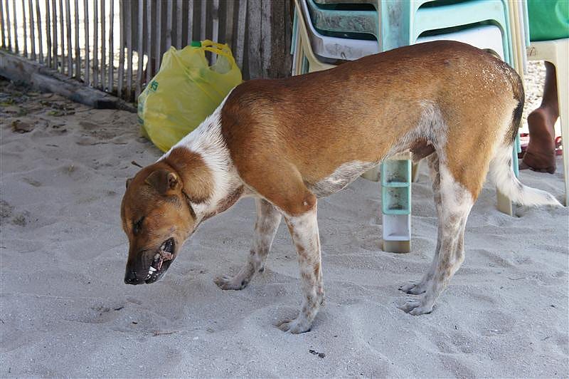 DSC05594.JPG DSC05594.JPG