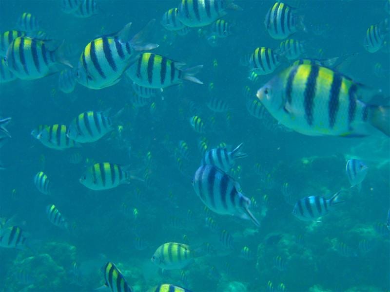 P6180744.JPG P6180744.JPG