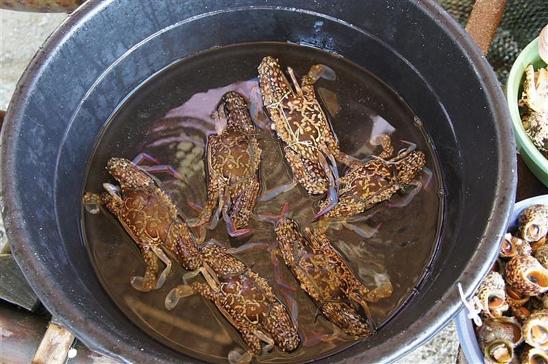 DSC05481.JPG DSC05481.JPG