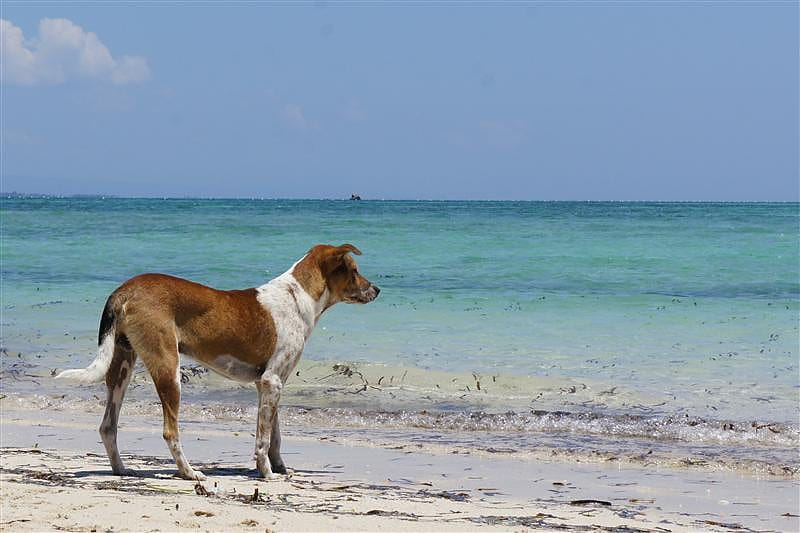 DSC05506.JPG DSC05506.JPG