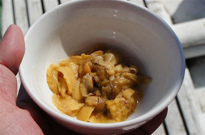 DSC05693.JPG DSC05693.JPG