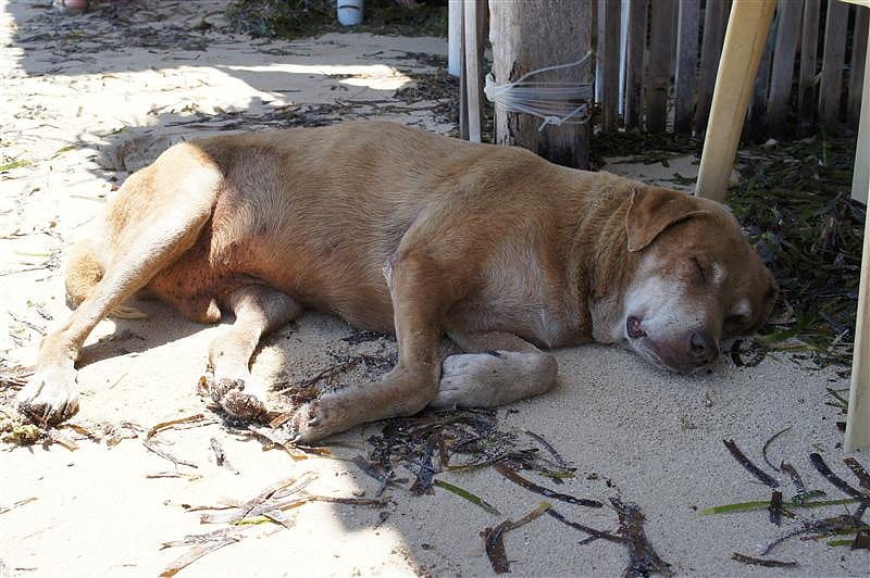 DSC05536.JPG DSC05536.JPG