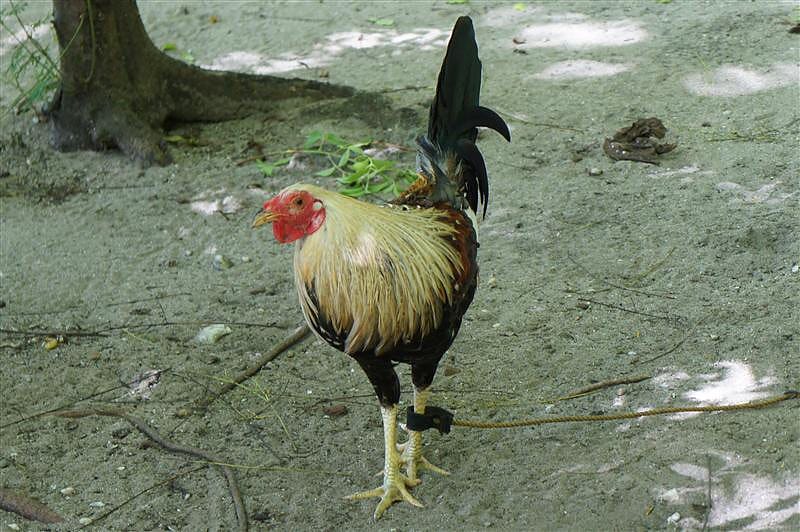 DSC05601.JPG DSC05601.JPG