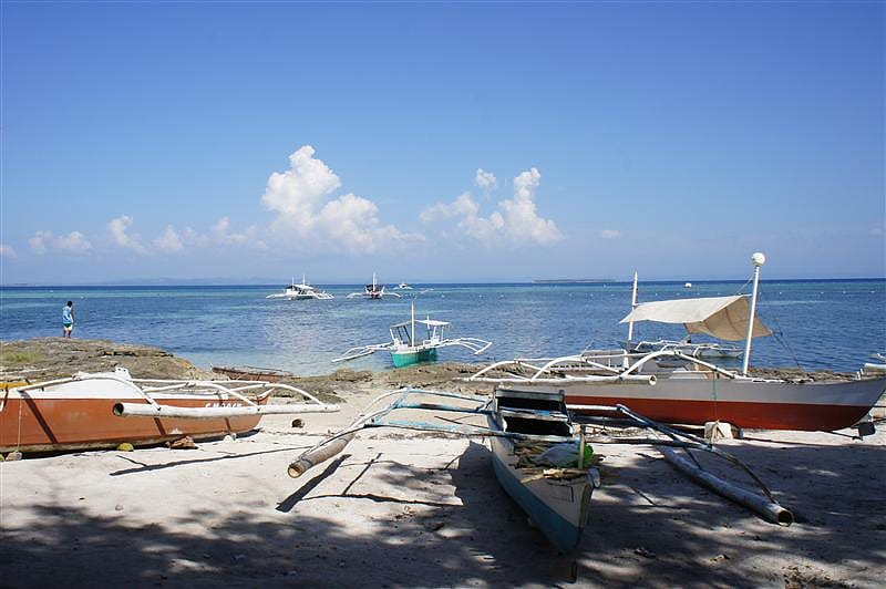 DSC05666.JPG DSC05666.JPG