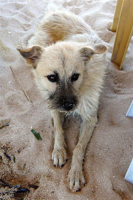 DSC05558.JPG DSC05558.JPG