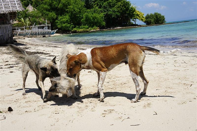 DSC05502.JPG DSC05502.JPG