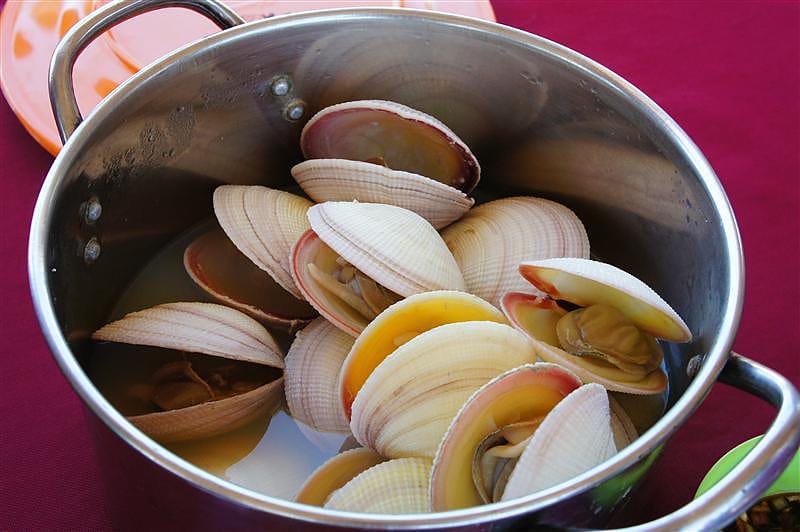 DSC05539.JPG DSC05539.JPG