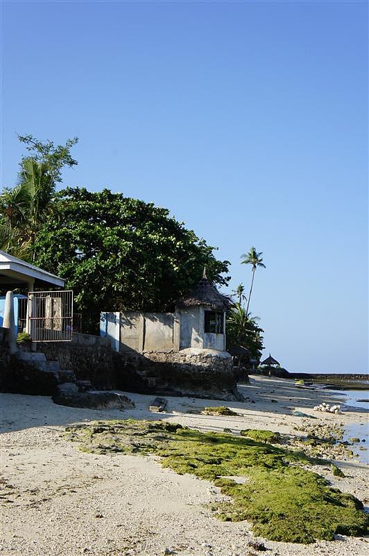 DSC05708.JPG DSC05708.JPG