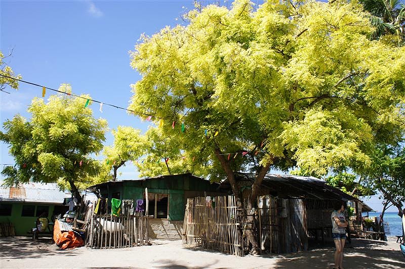 DSC05647.JPG DSC05647.JPG