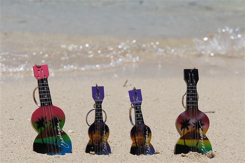 DSC05499.JPG DSC05499.JPG