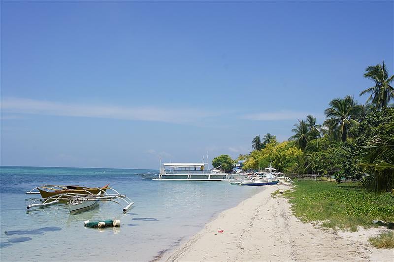 DSC05530.JPG DSC05530.JPG