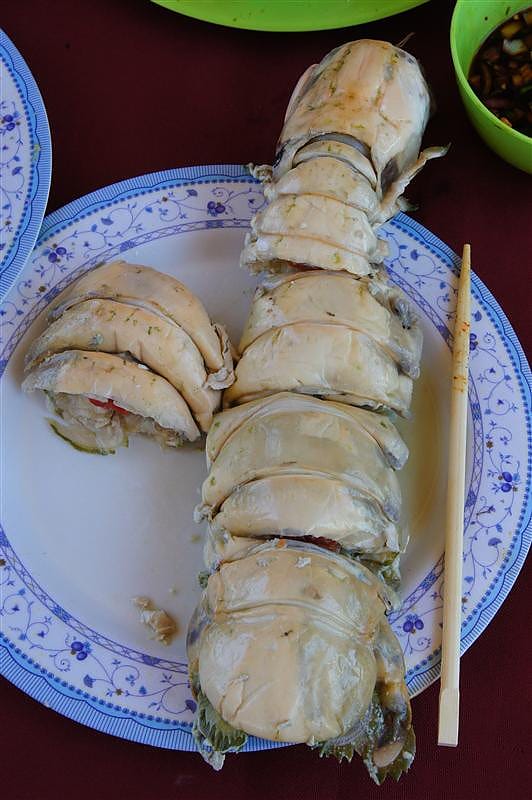 DSC05554.JPG DSC05554.JPG