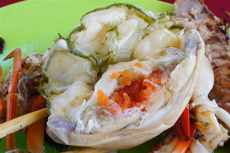 DSC05556.JPG DSC05556.JPG