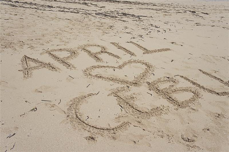 DSC05596.JPG DSC05596.JPG