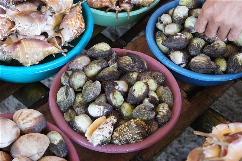 DSC05483.JPG DSC05483.JPG