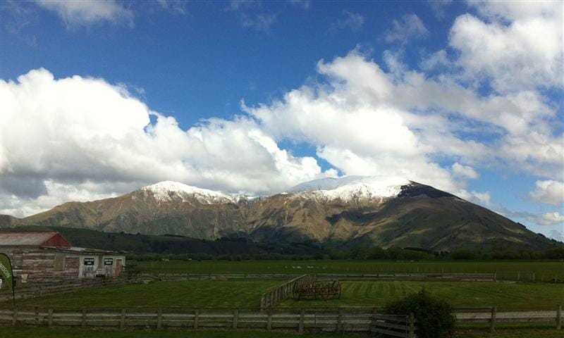 DSC09205.jpg DSC09205.jpg