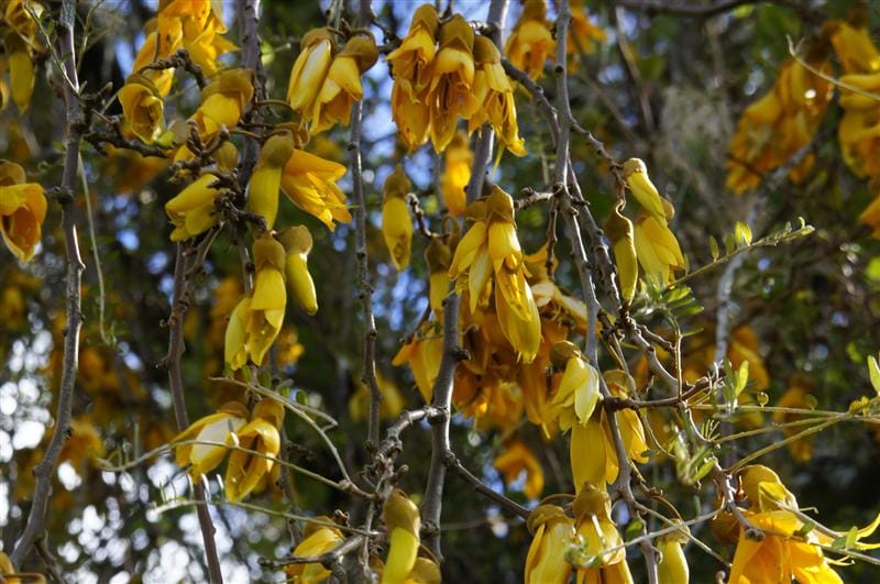 DSC09226.JPG DSC09226.JPG