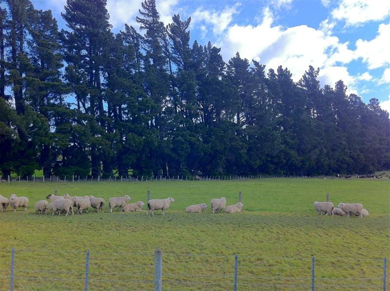 DSC09214.JPG DSC09214.JPG