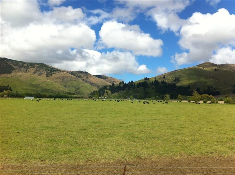 DSC09207.JPG DSC09207.JPG