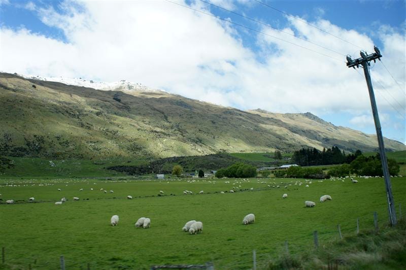 DSC09192.JPG DSC09192.JPG