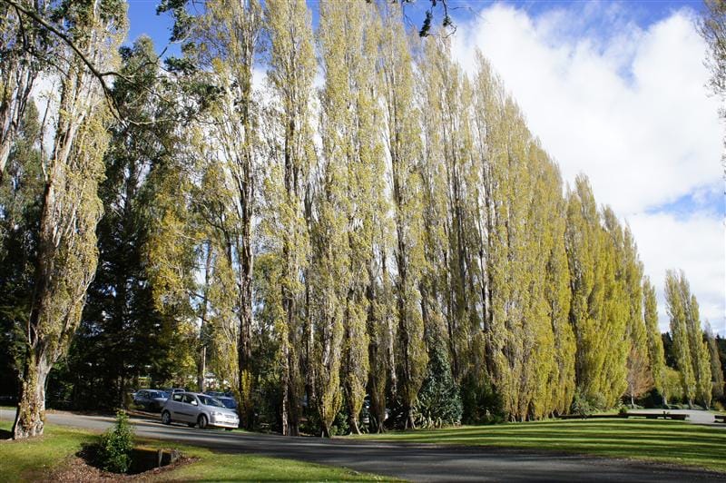 DSC09254.JPG DSC09254.JPG