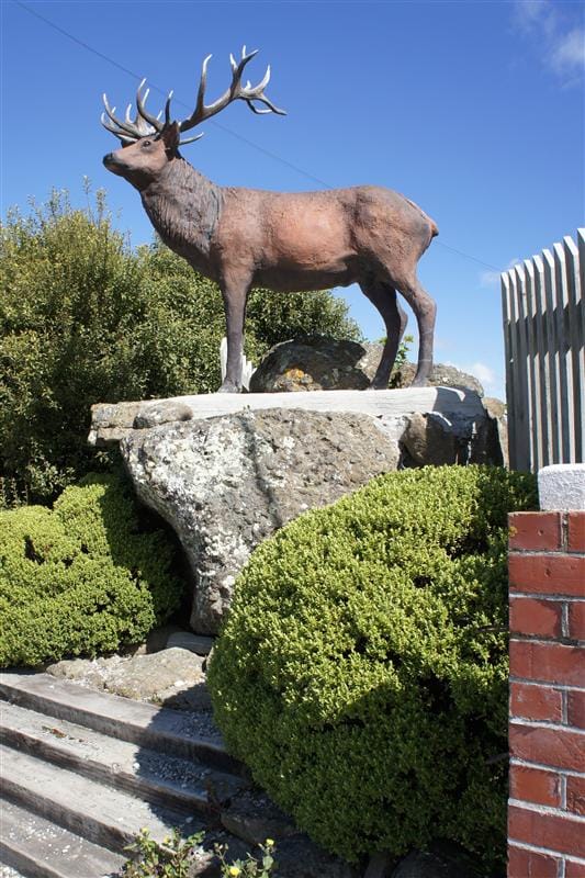 DSC09212.JPG DSC09212.JPG